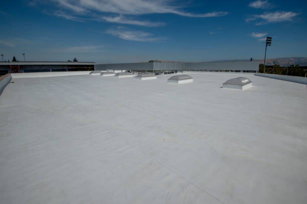 Best Roof Maintenance and Cleaning  in Celoron, NY